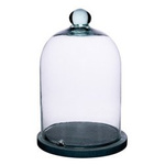 Glass cover with gray wooden beech stand and air ventilation W-231K H:26cm D:17cm