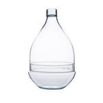 Terrario de cristal pera W-645+W-527 H:30cm D:18,5cm