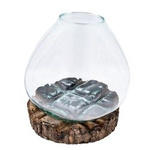 Hand blown molten glass on wood 21-27cm