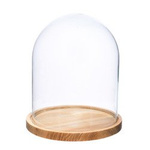 Glass dome with wooden beech stand W-315A